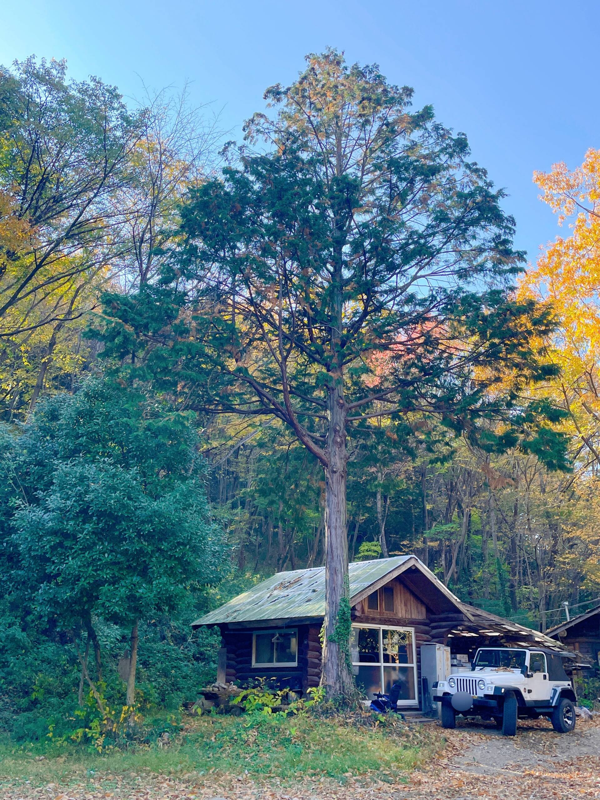 ”Water Ripple”「水紋」（多現場の裏側で）